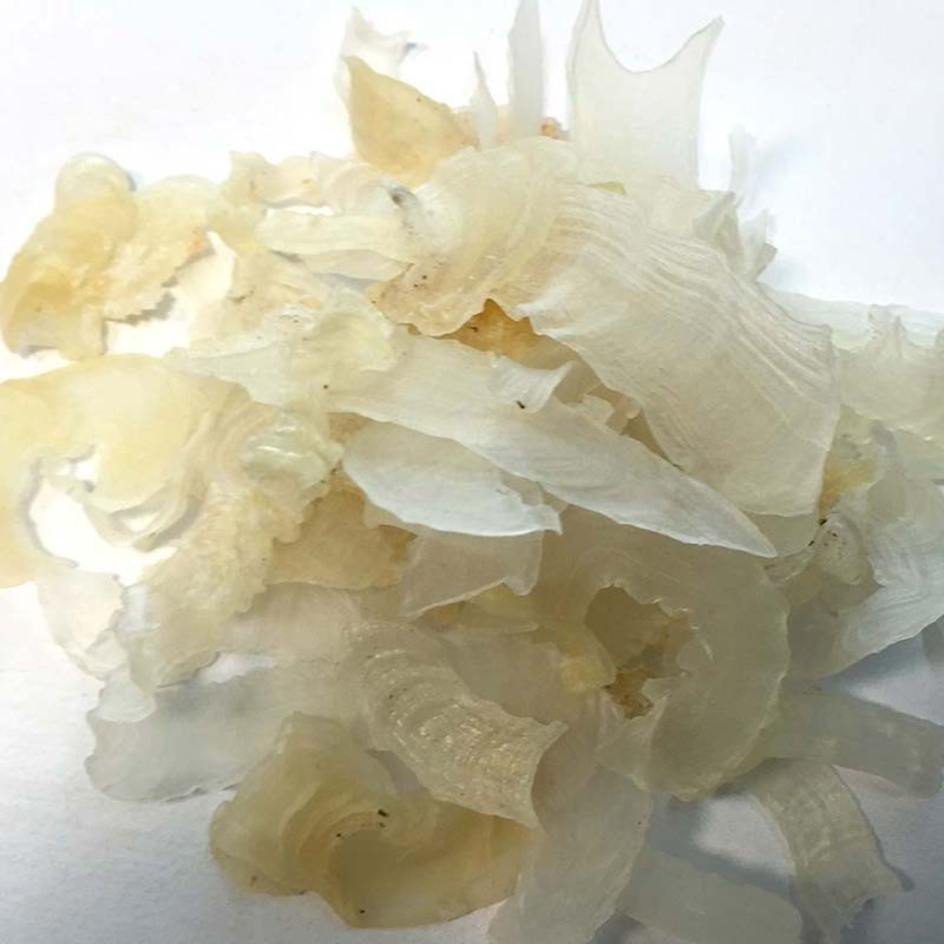 کتیرا (50 گرم) عطاری نیکو طبیب