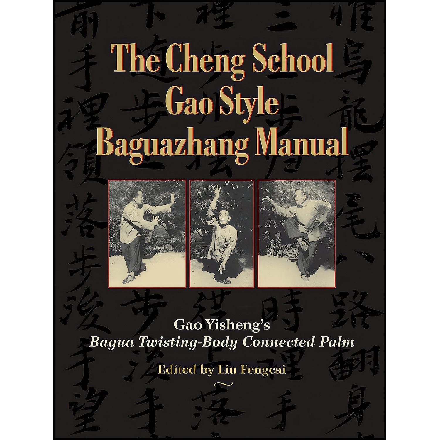 کتاب زبان اصلی The Cheng School Gao Style Baguazhang Manual