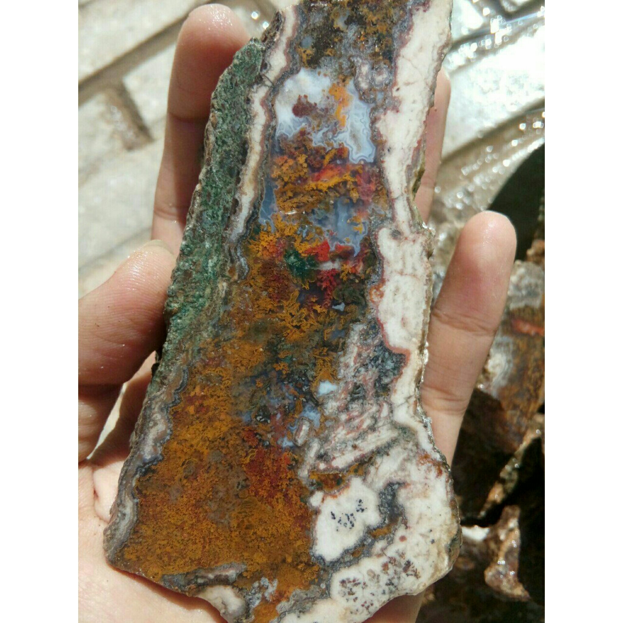 راف منظره هفت رنگ مختص تراش نگین و کلکسیون بسیار خوش رنگ و زیبا