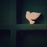 مهر نماز  تربت/ طرح کبوتر حرم