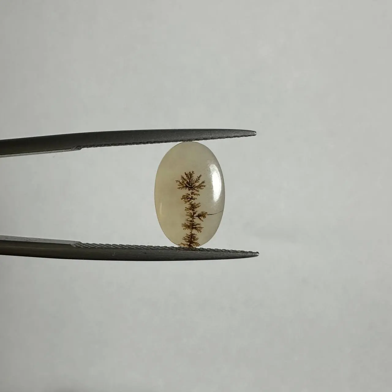 سنگ قیمتی عقیق شجر طبیعی 240956