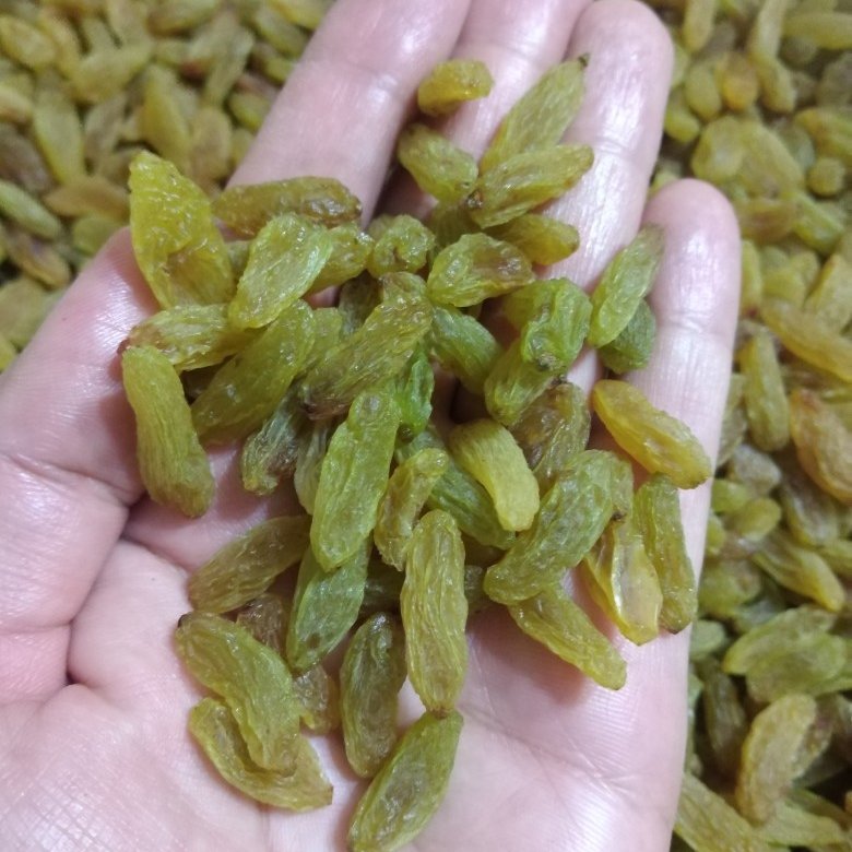 کشمش سبز صادراتی
