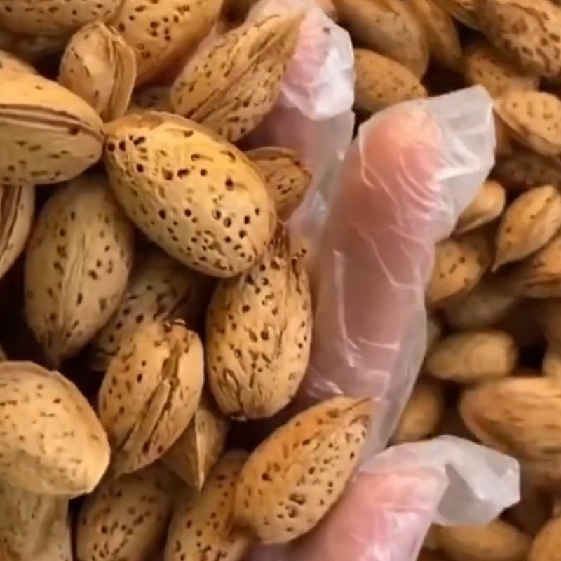 بادام درختی