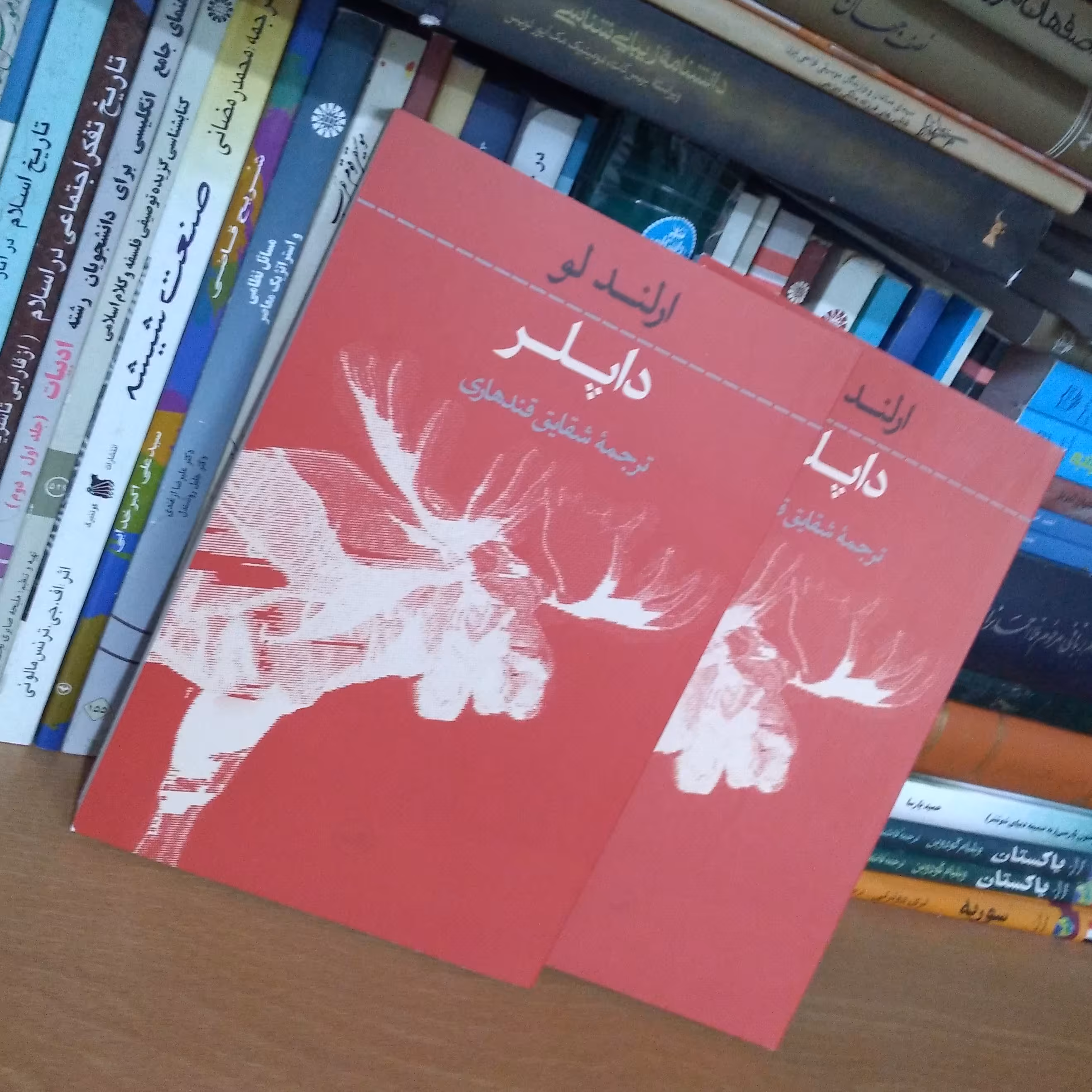 داپلر - رمان تالیف ارلند لو 