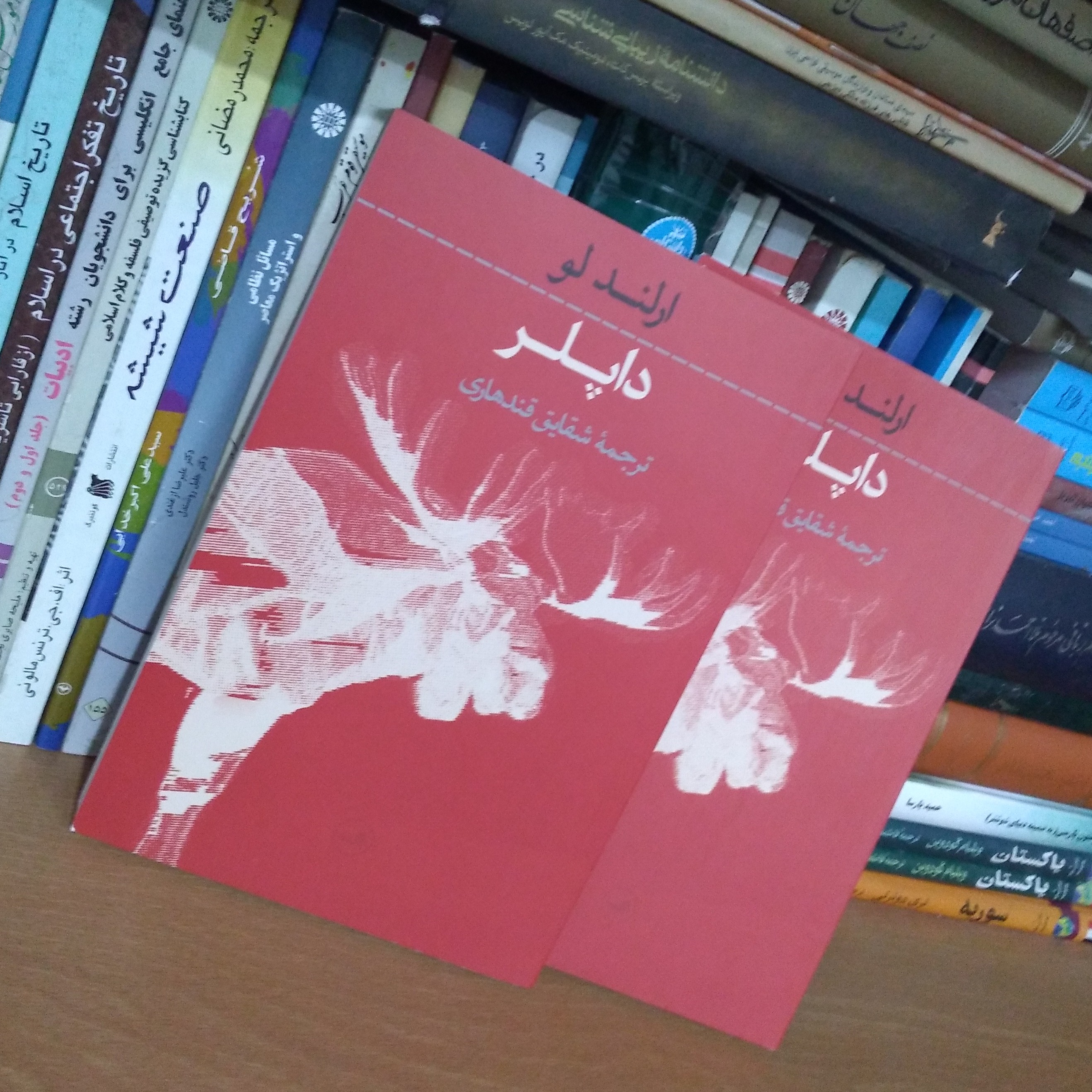 داپلر - رمان تالیف ارلند لو