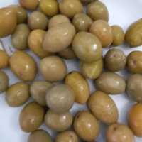 زیتون سایز 4 با بهترین قیمت