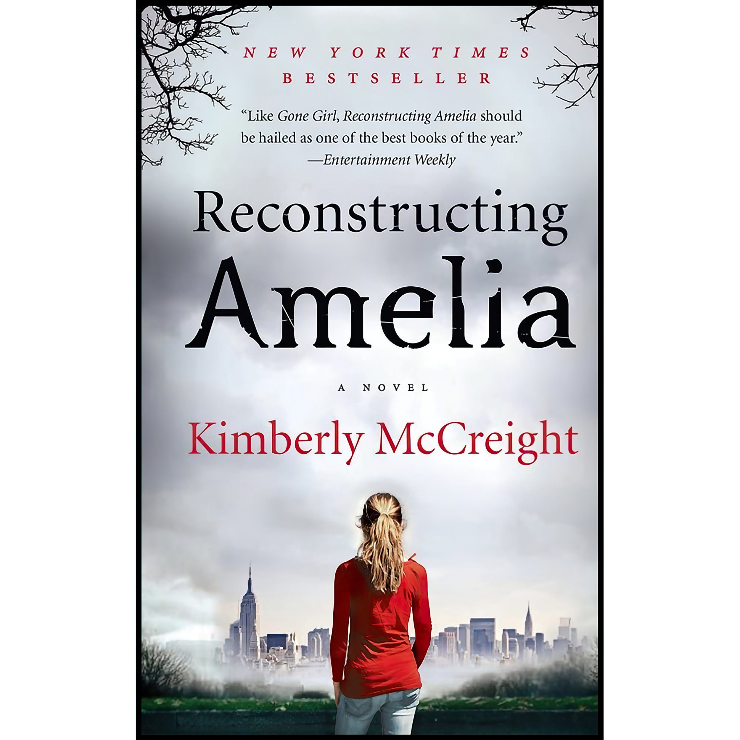 کتاب زبان اصلی Reconstructing Amelia اثر Kimberly McCreight