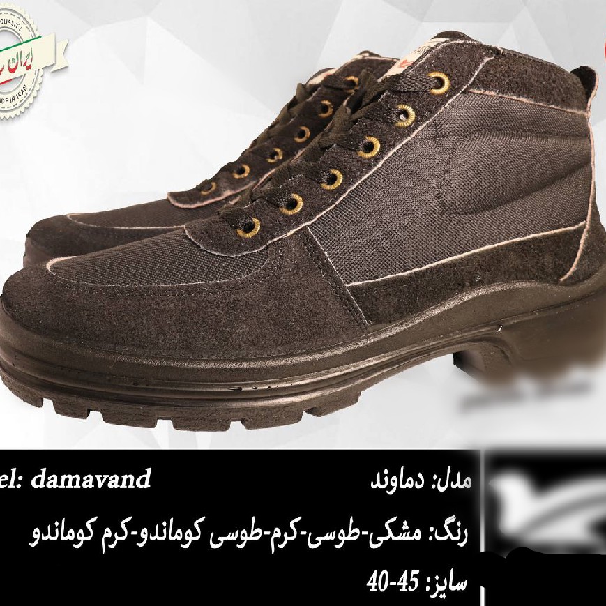 کفش کار وکوه دماوند