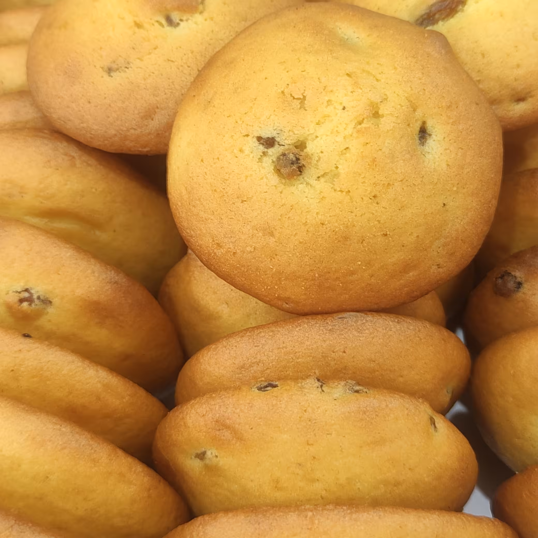 کلوچه کشمشی