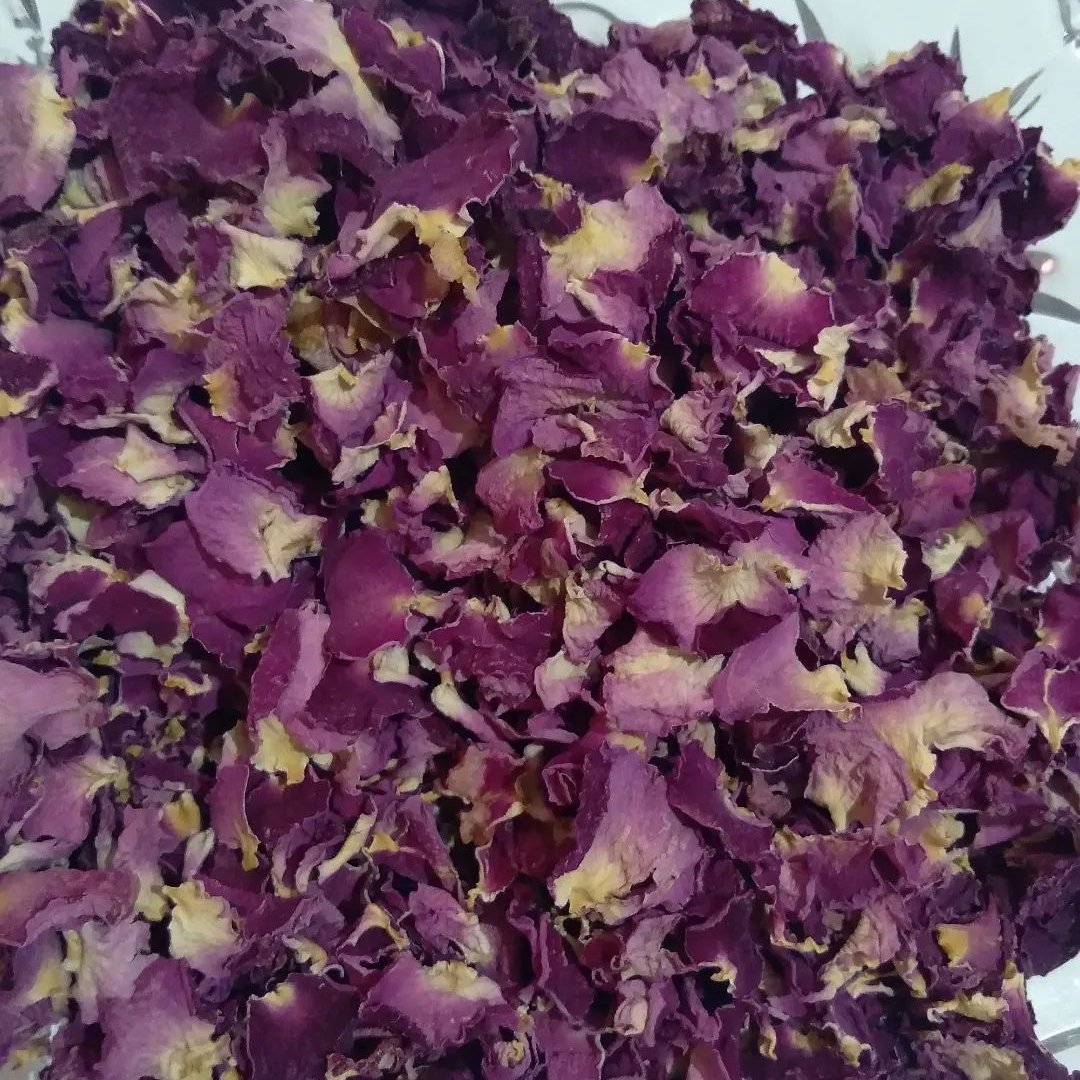 برگ گل محمدی