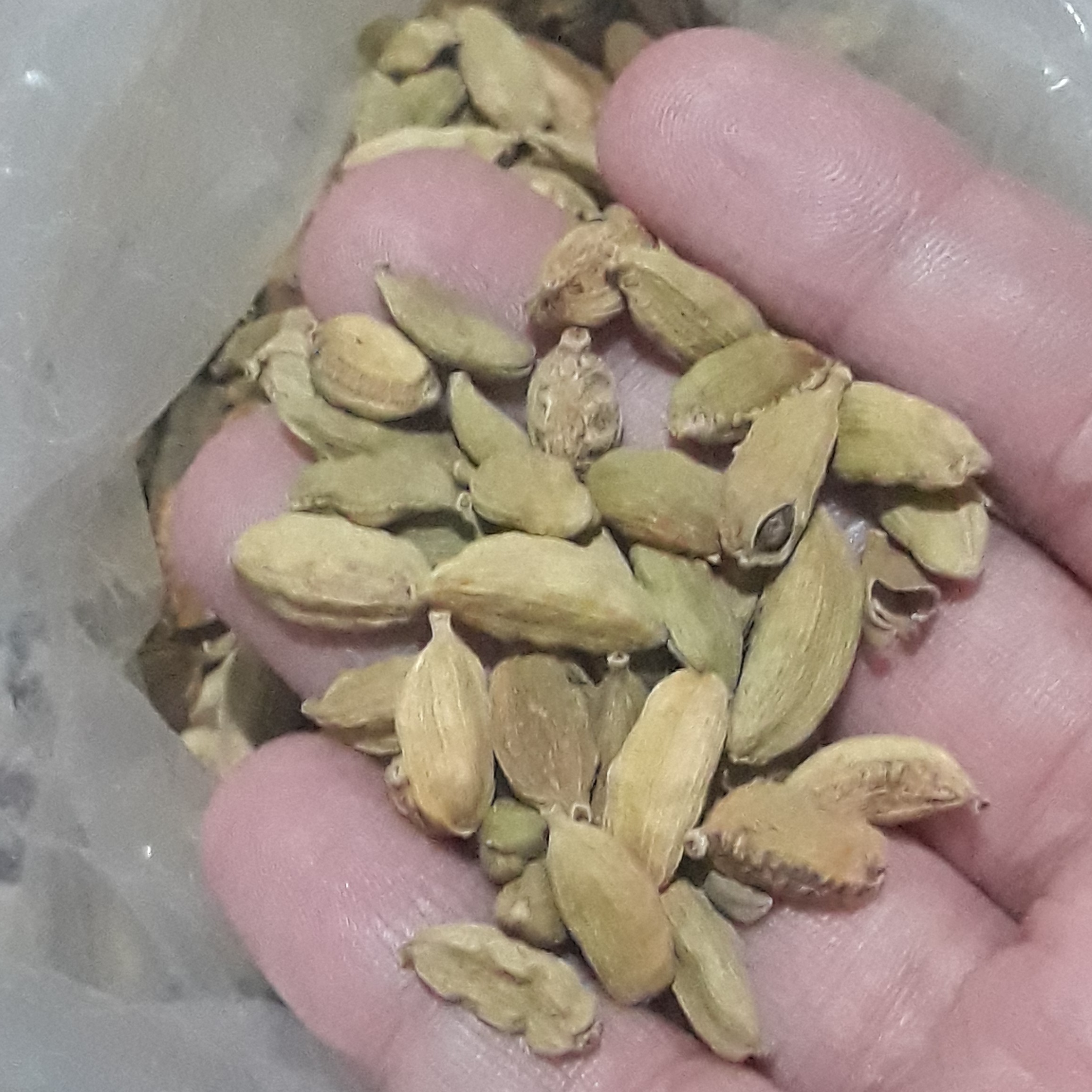 هل سبز ( نیم کیلو ) هل مغزدار خوش عطر قیمت مناسب
