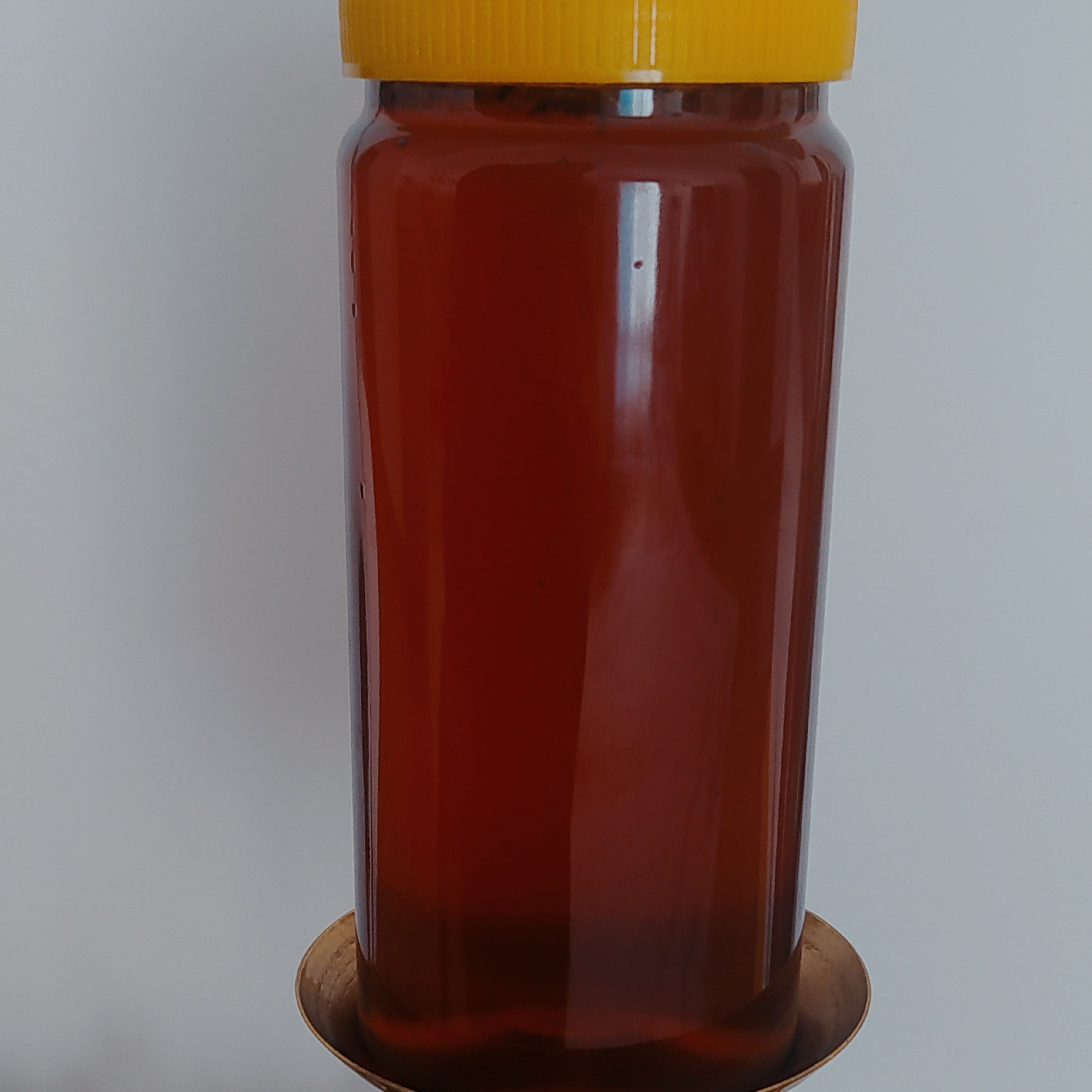 عسل جنگلی یک کیلویی کیاسر کاملا طبیعی