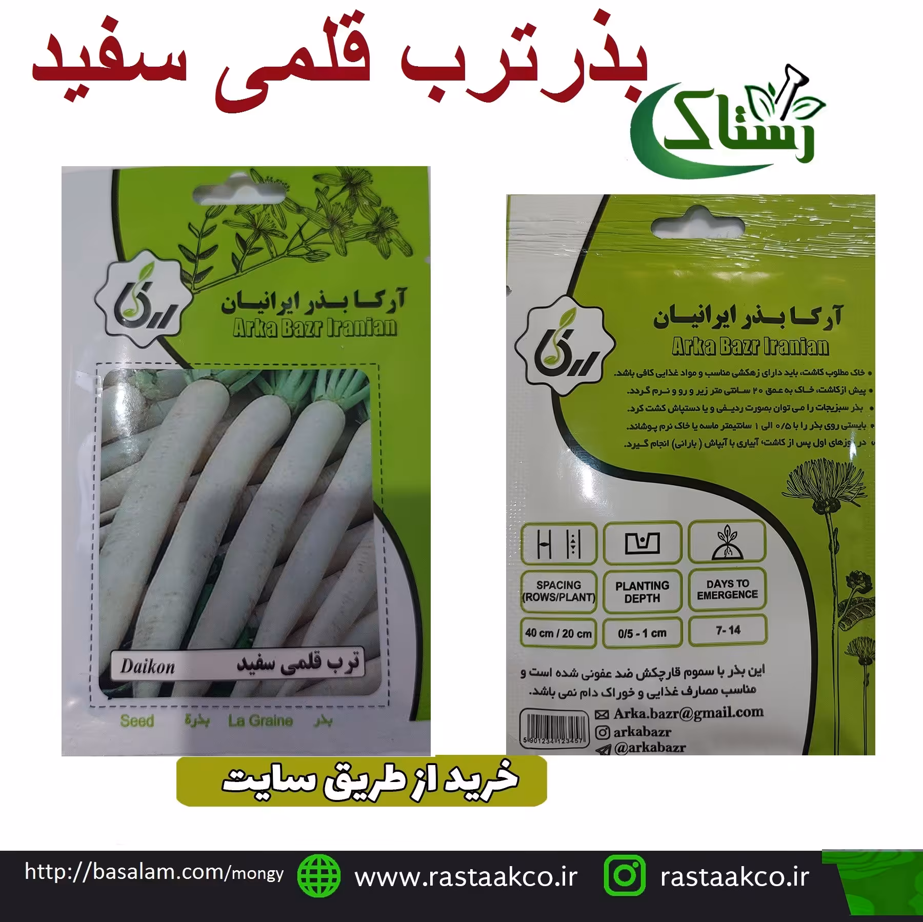 بذروتخم  ترب قلمی سفید تبریز رستاک  (10گرمی) 