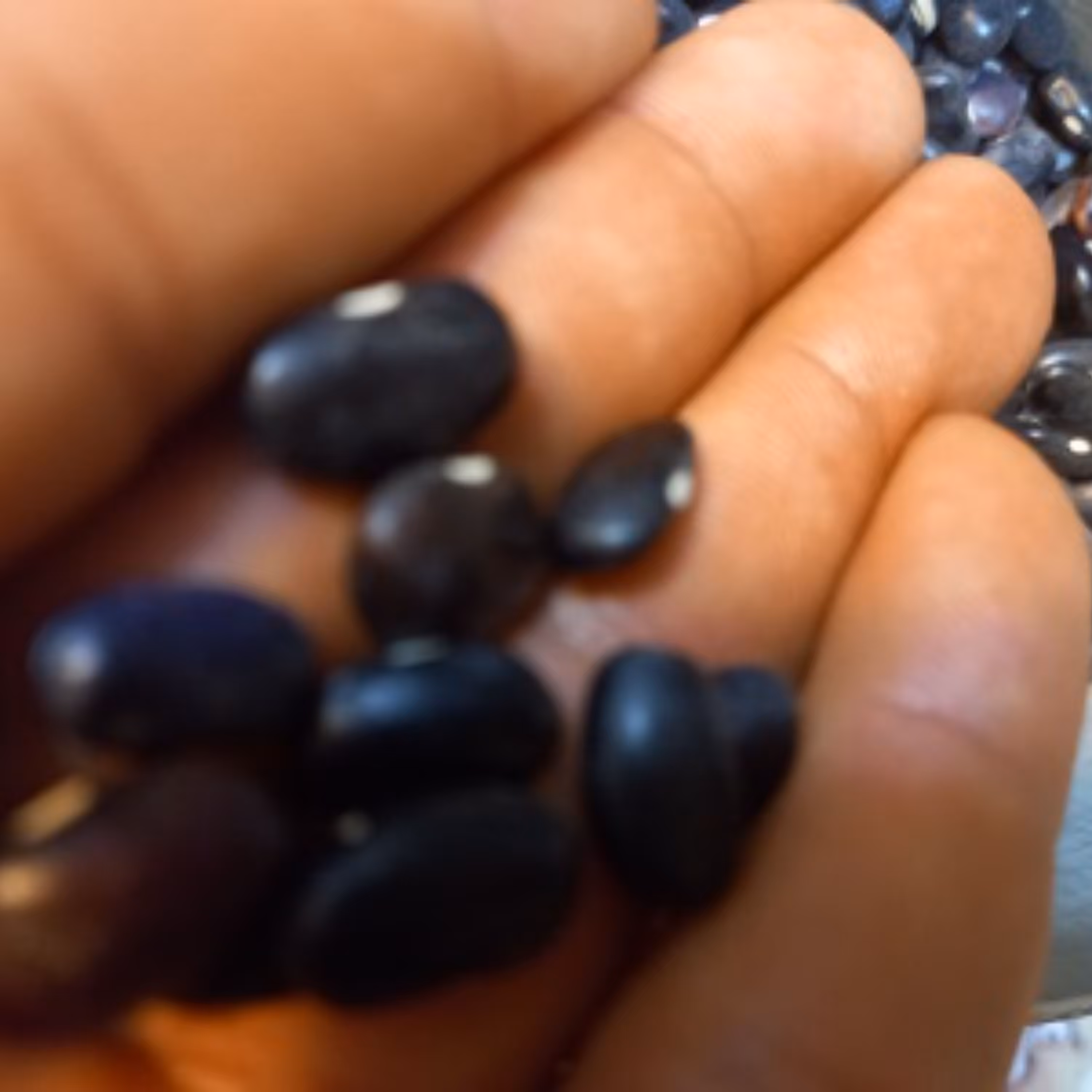 لوبیا سیاه پست رایگان پنج کیلو برای بدنسازان