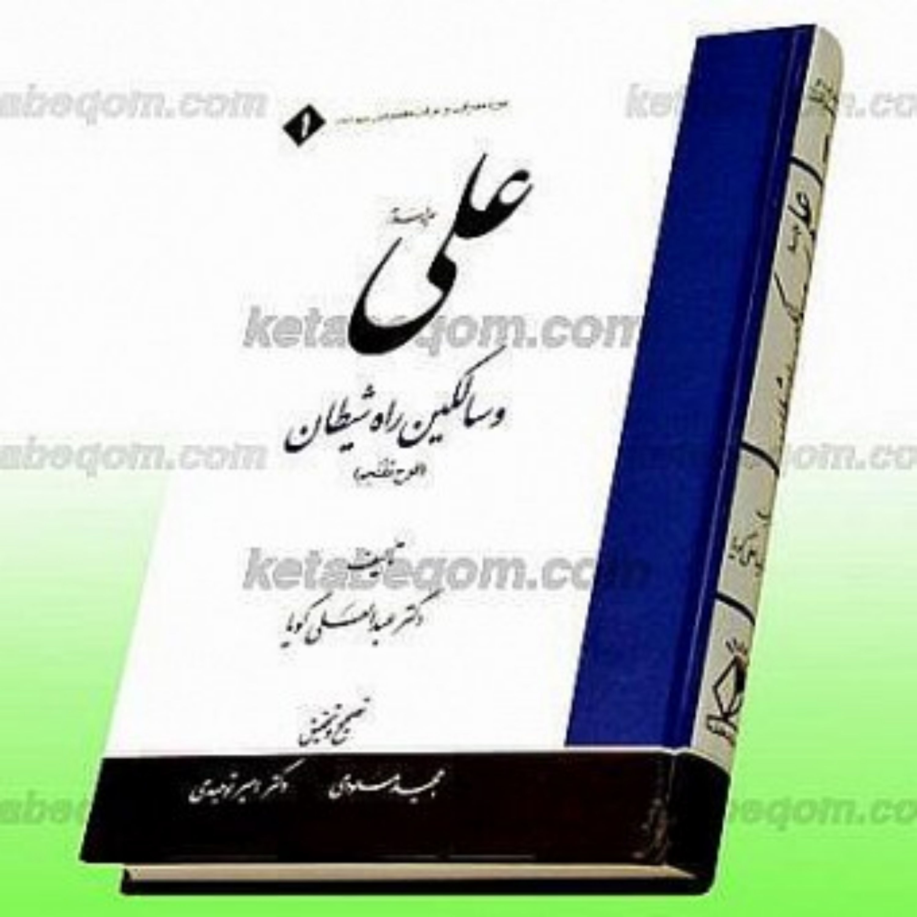 کتاب علی علیه السلام و سالکین راه شیطان (فوج مُقتَحِم)