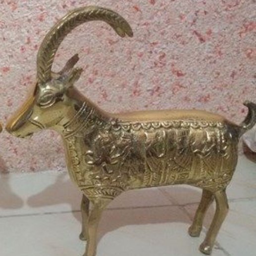 بزکوهی برنجی