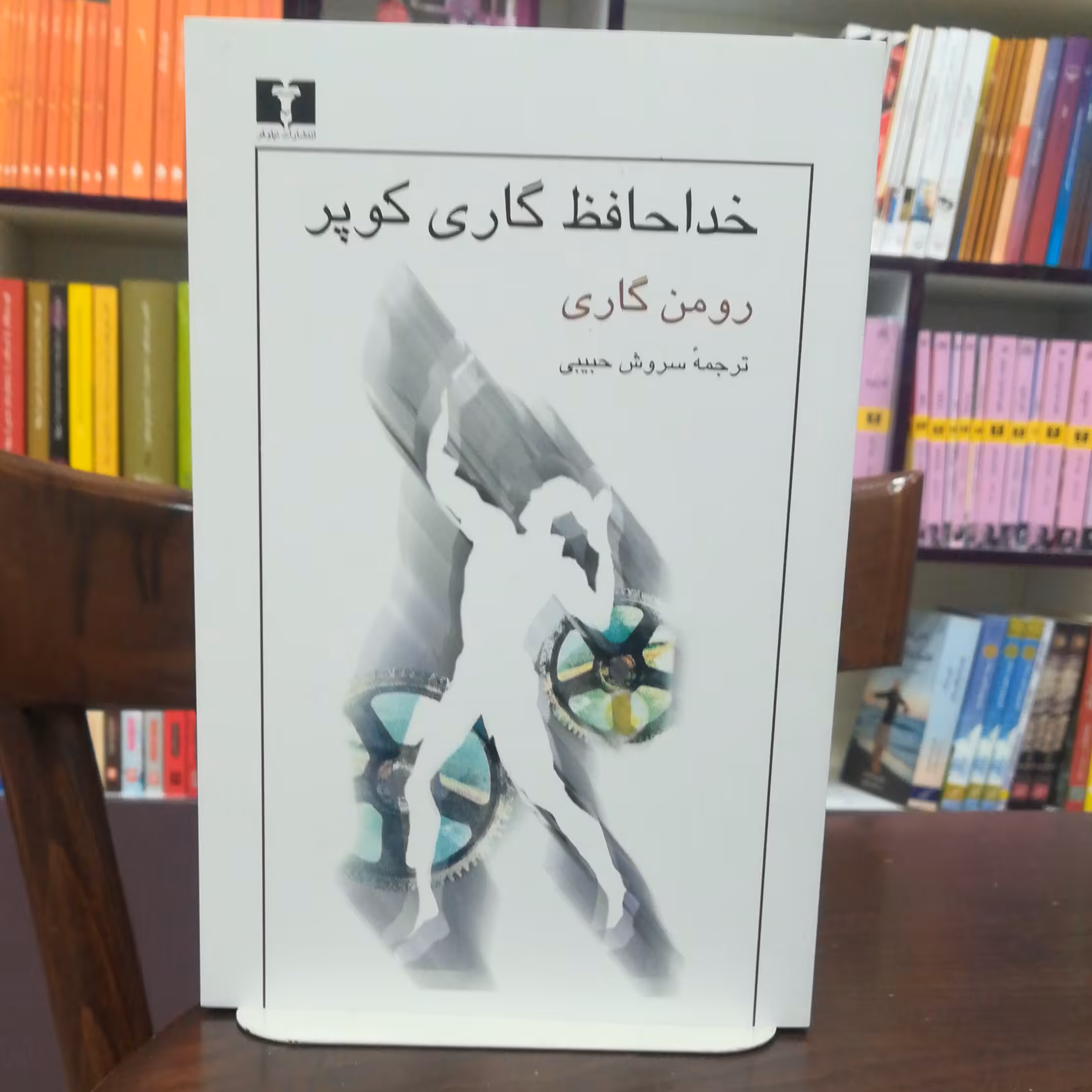 کتاب خداحافظ گاری کوپر اثر رومن گاری ترجمه سروش حبیبی نشر نیلوفر 