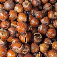 فندق شور لوکس 250 گرمی 