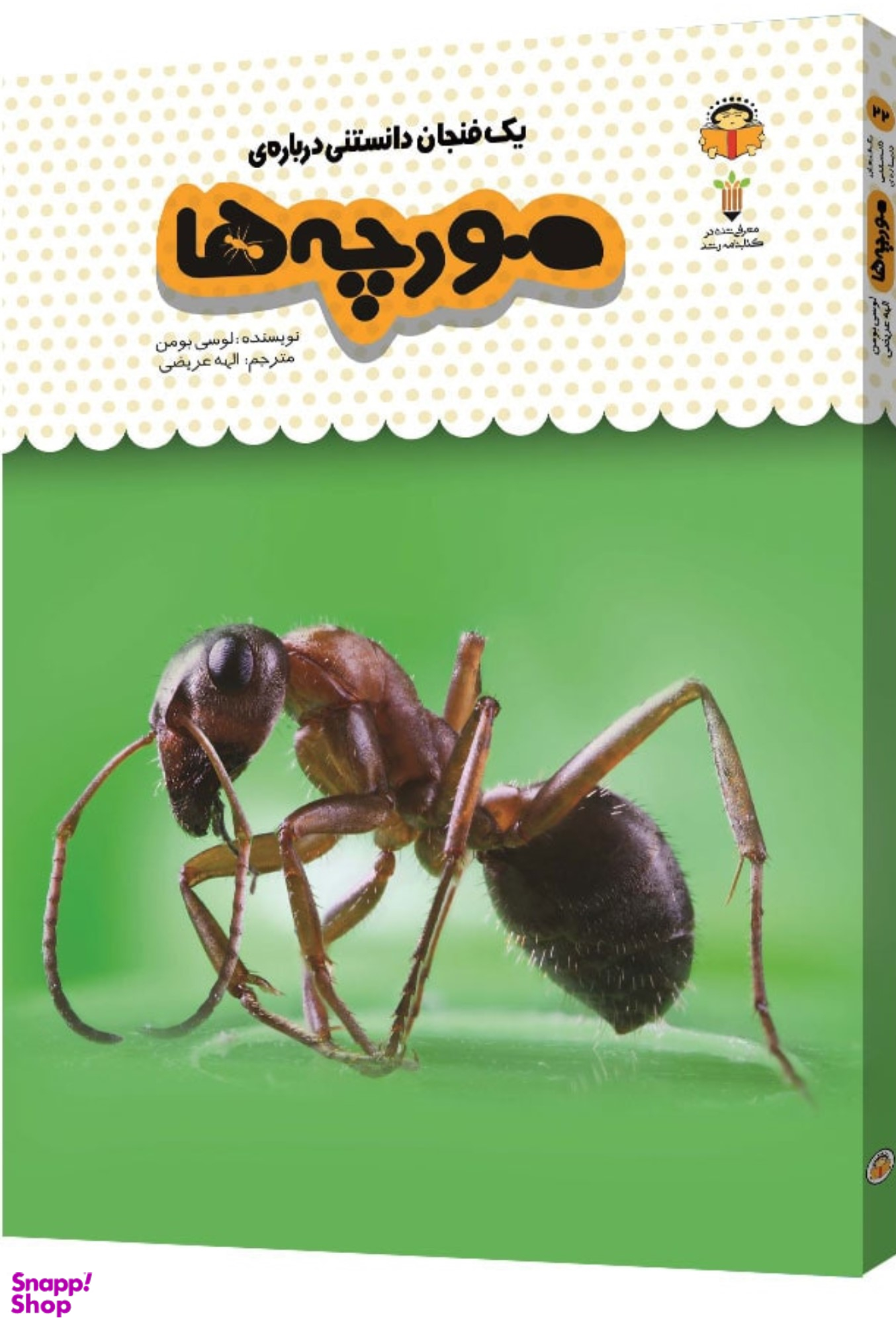 یک فنجان دانستنی درباره ی مورچه ها