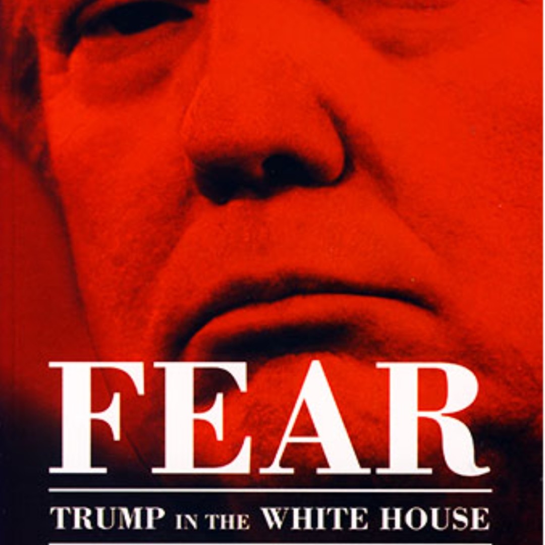Fear Trump in the White Houseکتاب
