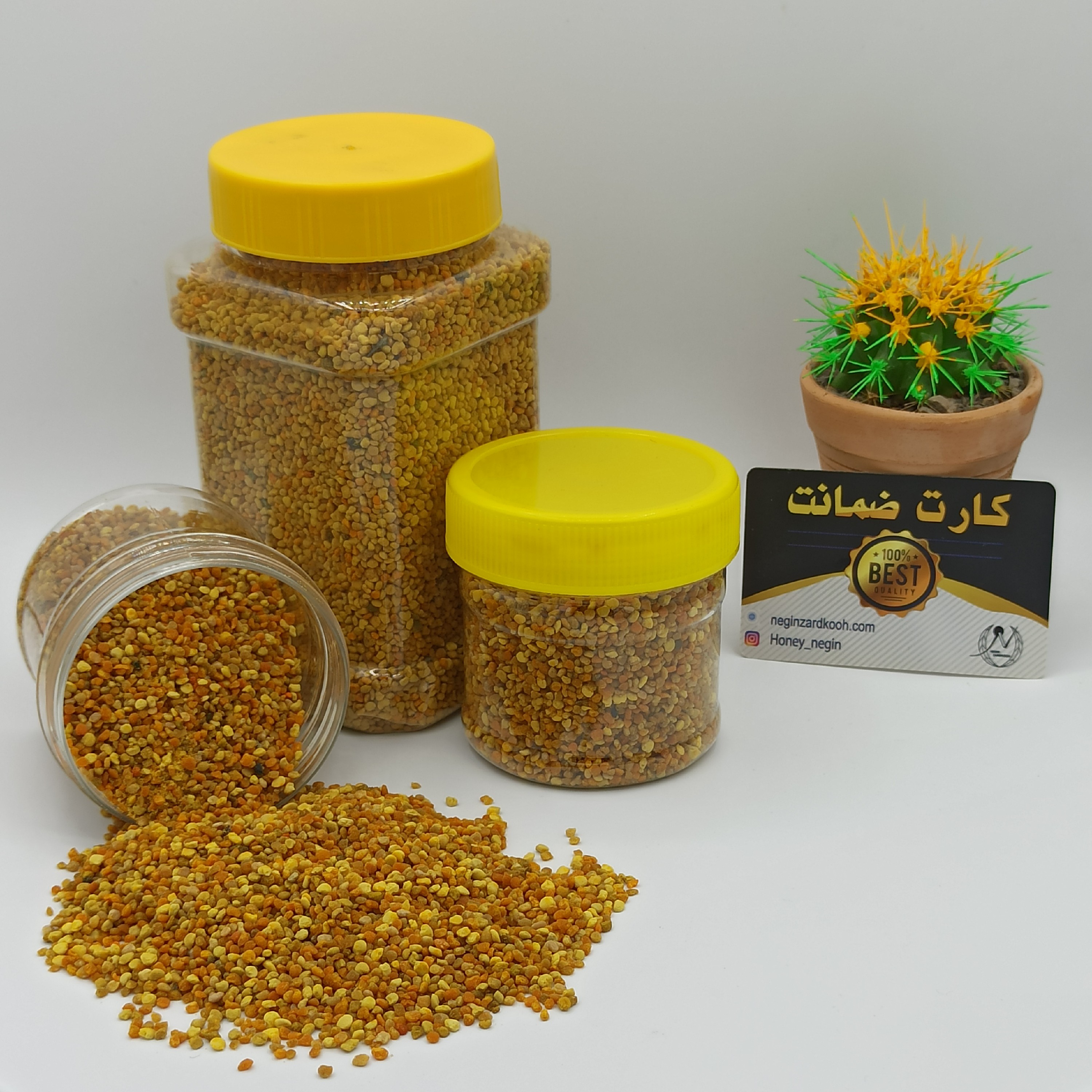 گرده گل طبیعی نگین زردکوه با خواص شگفت انگیز داروئی فراوان