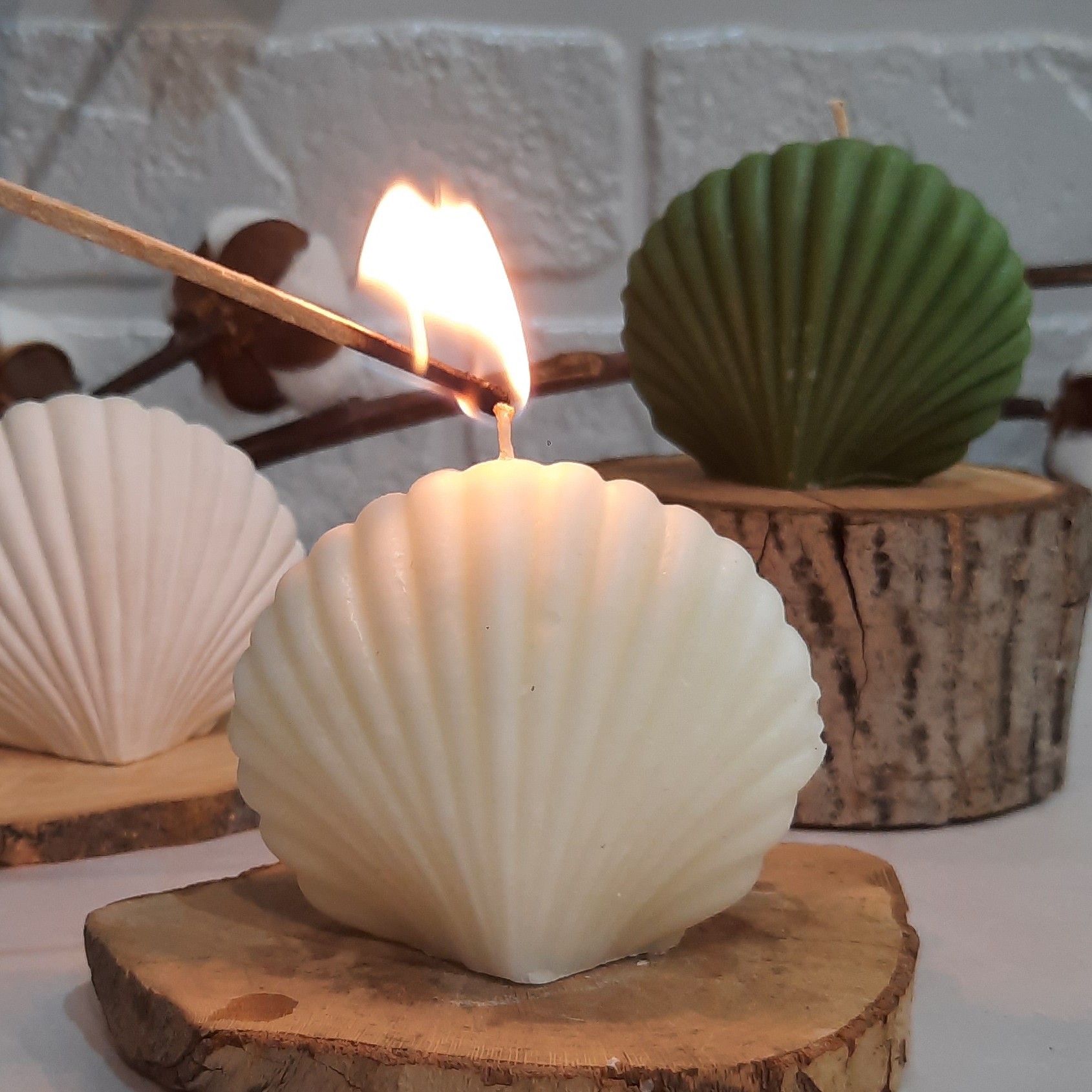 شمع صدف 8سانتی