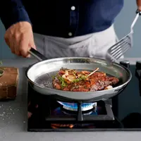 تابه استیل کف زنبوری کاملا نچسب دبلیو ام اف مدل Profi Resist