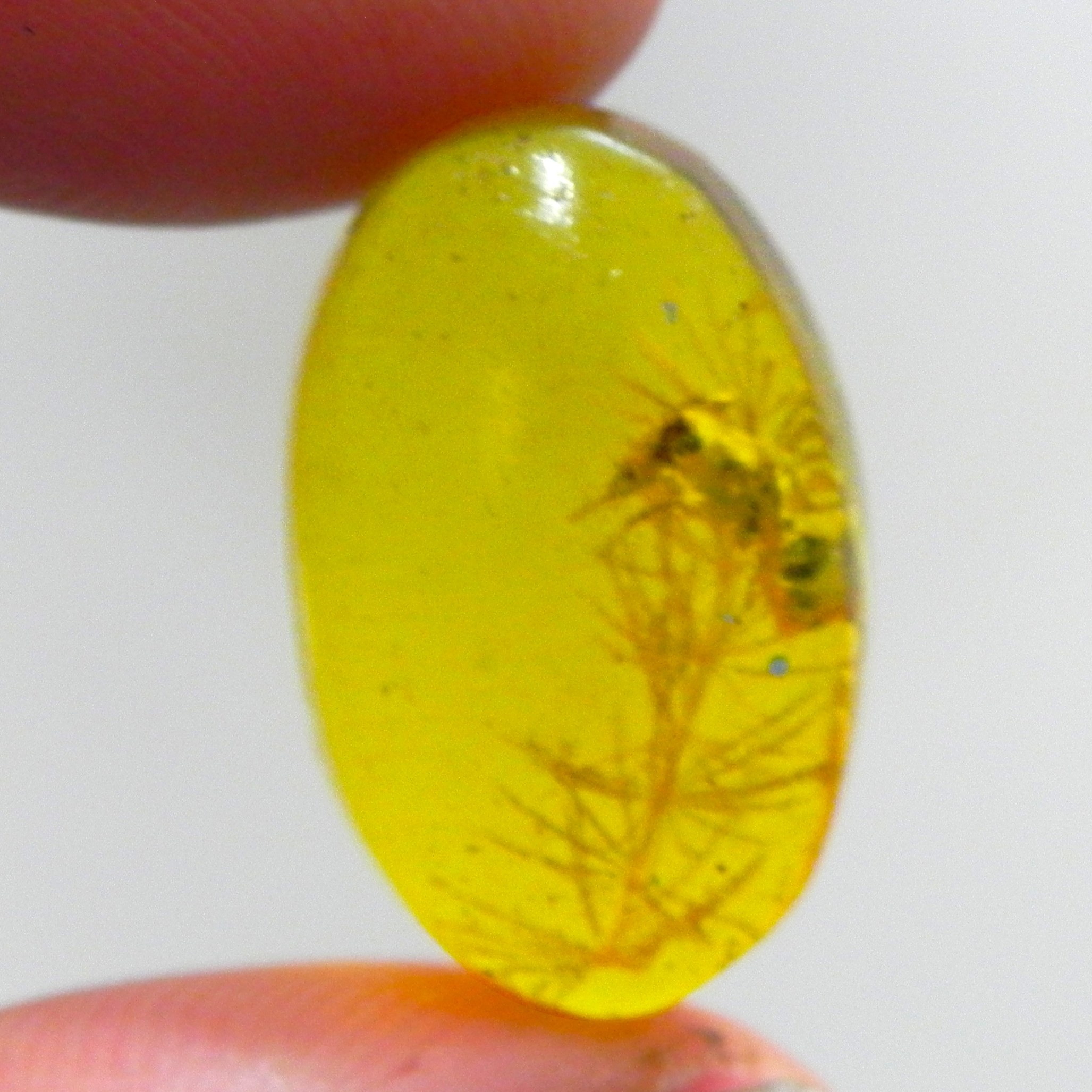 نگین سنگ کهربا پودری گیاه دار  زرد کد4 مناسب انگشتری تراش بیضی