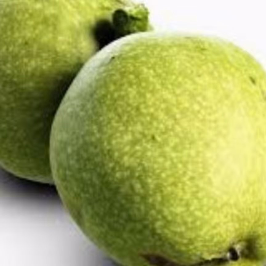 گردو تازه درشت با پوست سبز 10 کیلویی (از  10 شهریور تا پایان مهر- تولید کننده ایم)