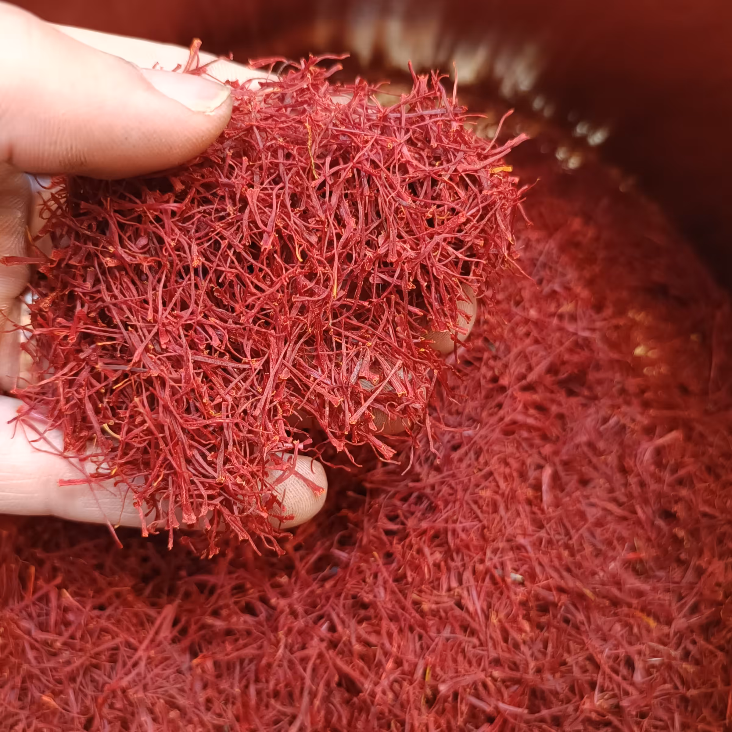 زعفران ممتاز قائنات  تهیه شده مستقیم بدون واسطه  از  کشاورزان زحمت کش 