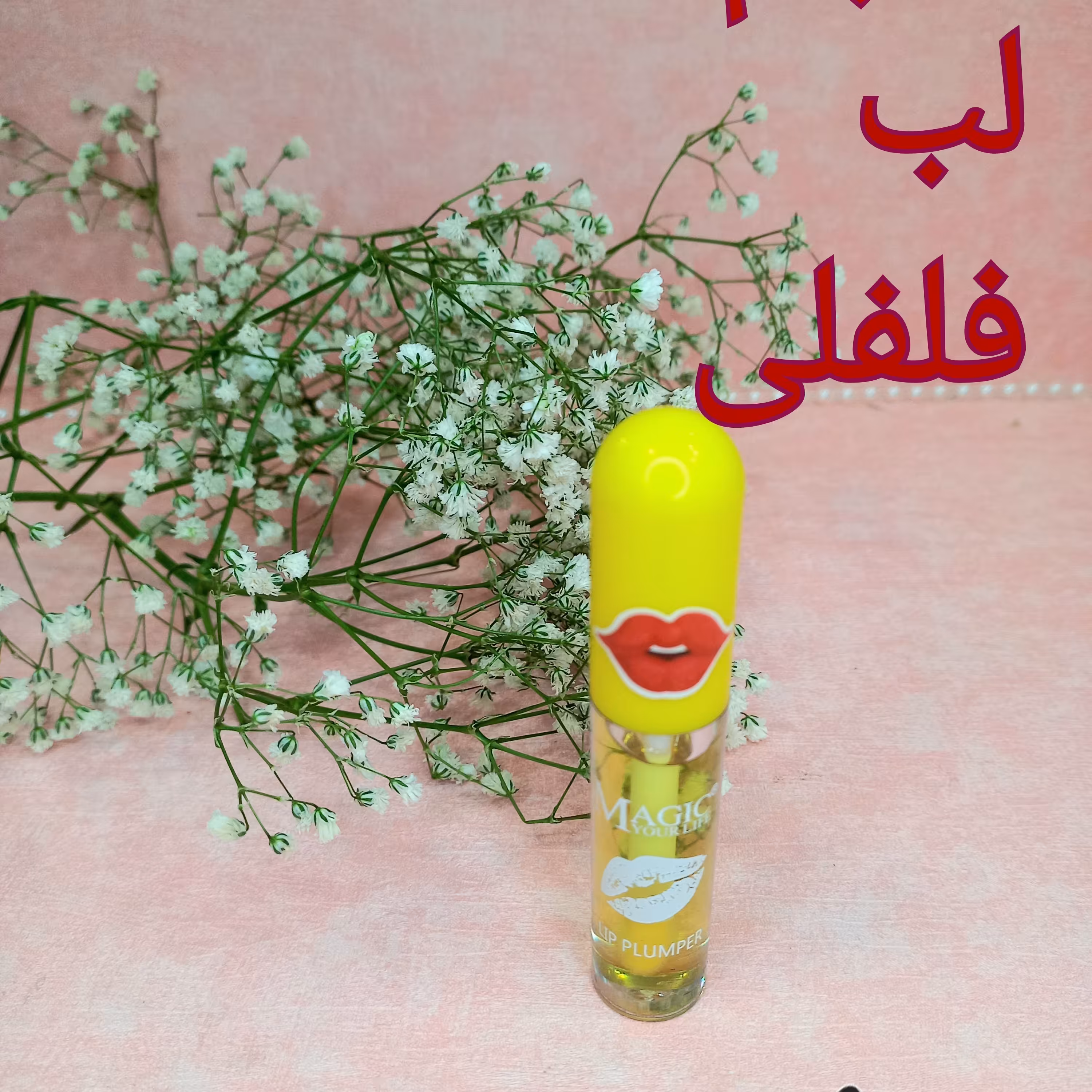 حجم لب فلفلی