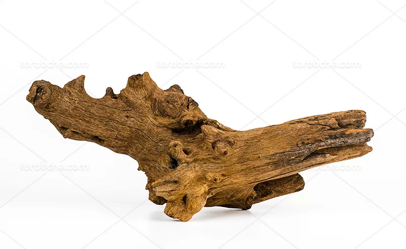 عکس هیزم | گرافیک با طعم تربچه