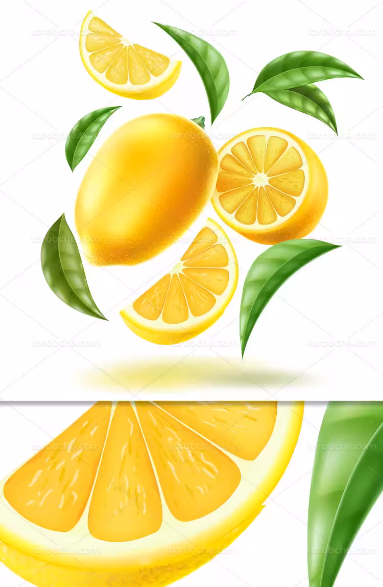 وکتور لیمو ترش تازه | گرافیک با طعم تربچه