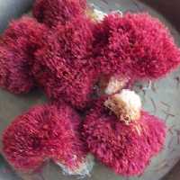 زعفران دسته یک مثقالی بیرجند(4.6گرم)