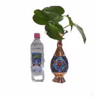عرق کاسنی عقیل کاشان یک لیتر