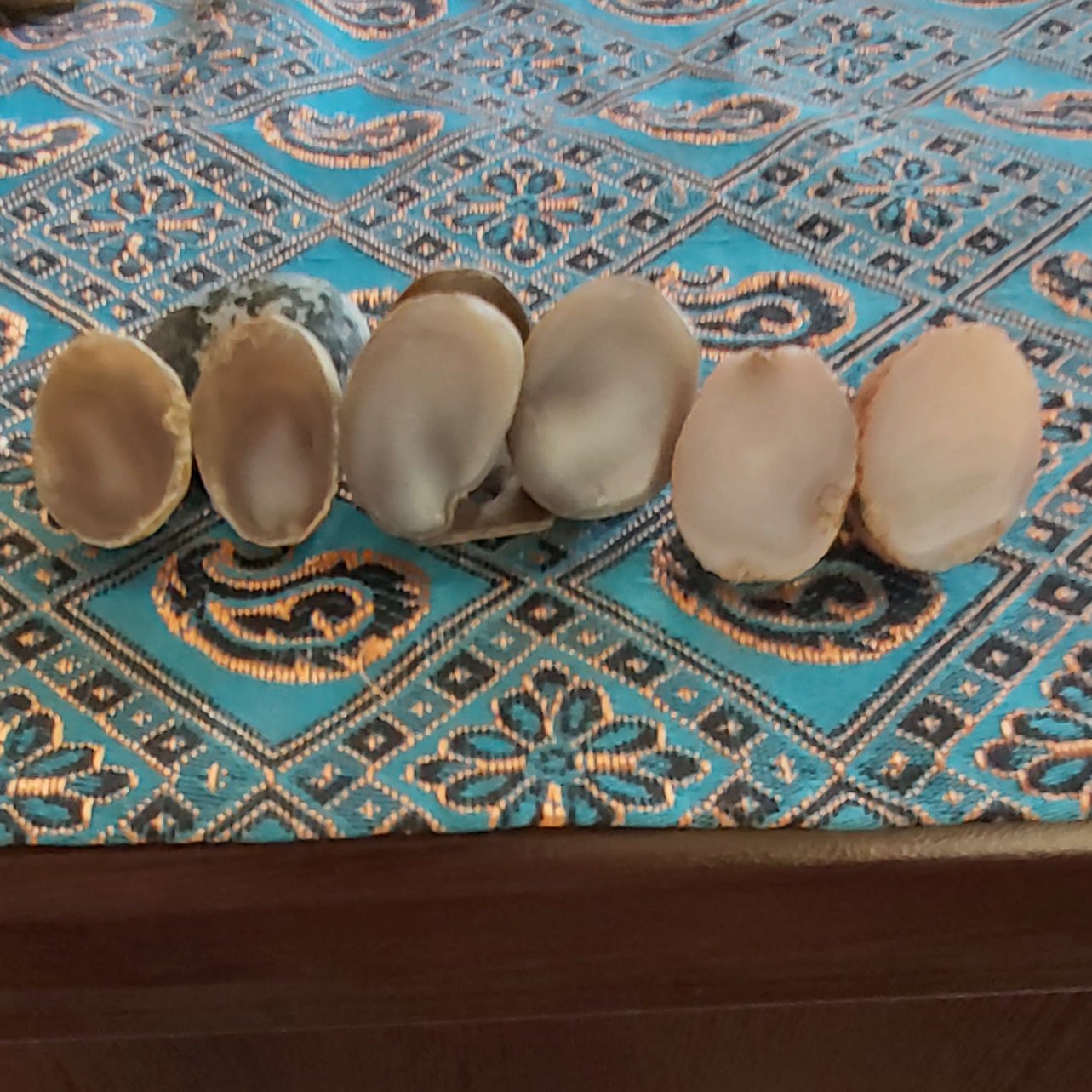 شش اسلایس عقیق توپی اندازه کوچک