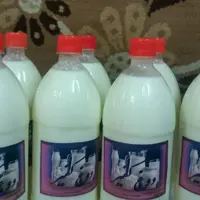 ماست تازه وارگانیک کفیر  500گرمی  با خواص بسیار عالی