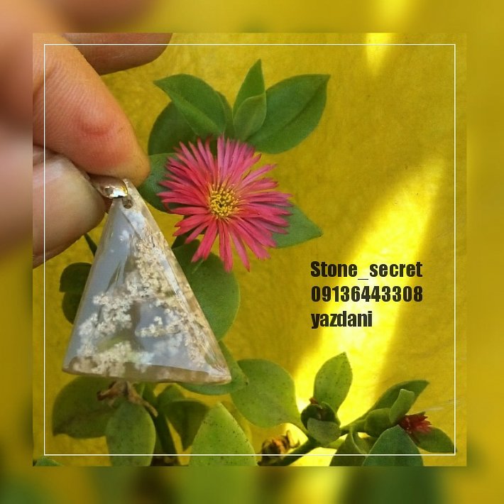 عقیق شجر بهاره