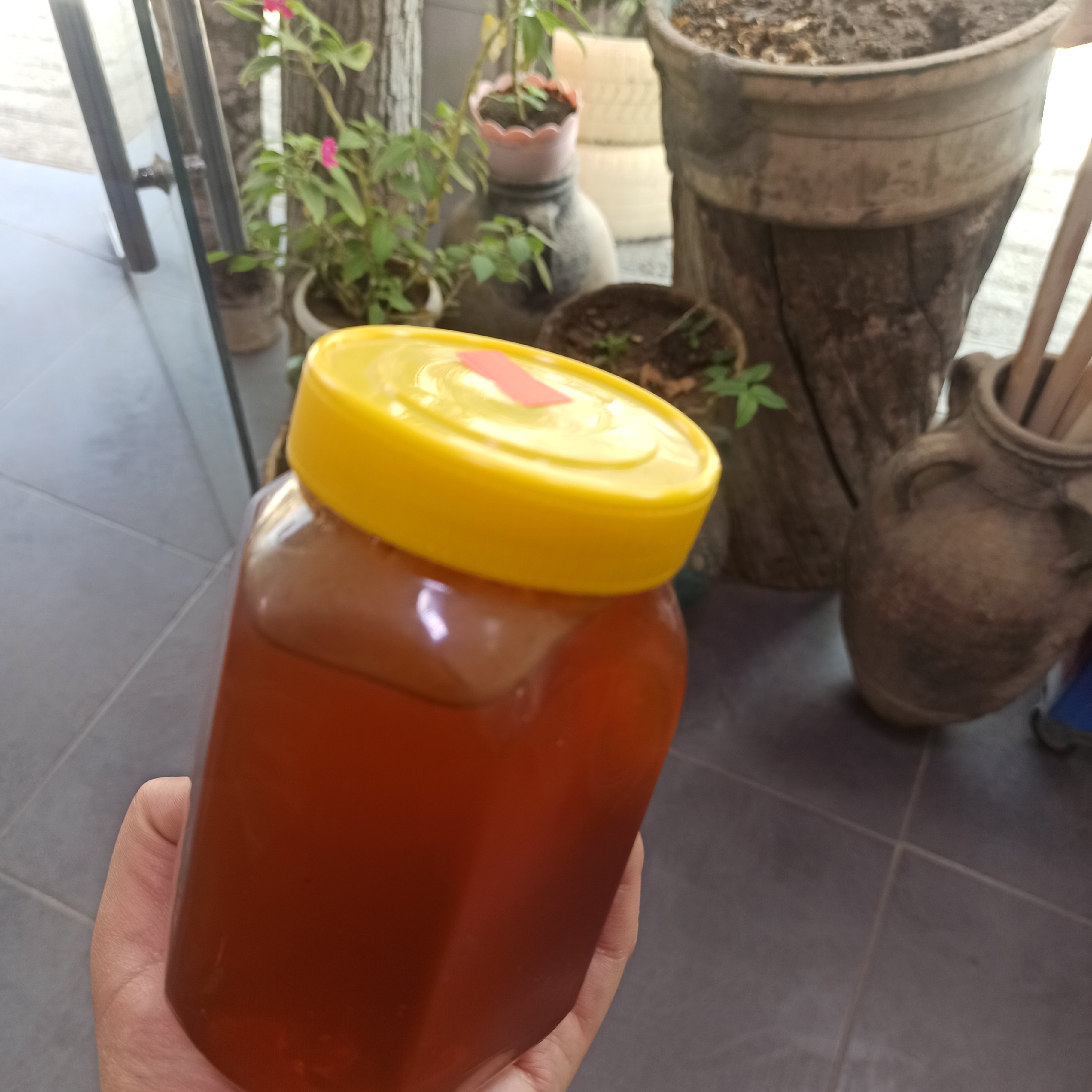 عسل گون طبیعی تویسرکان