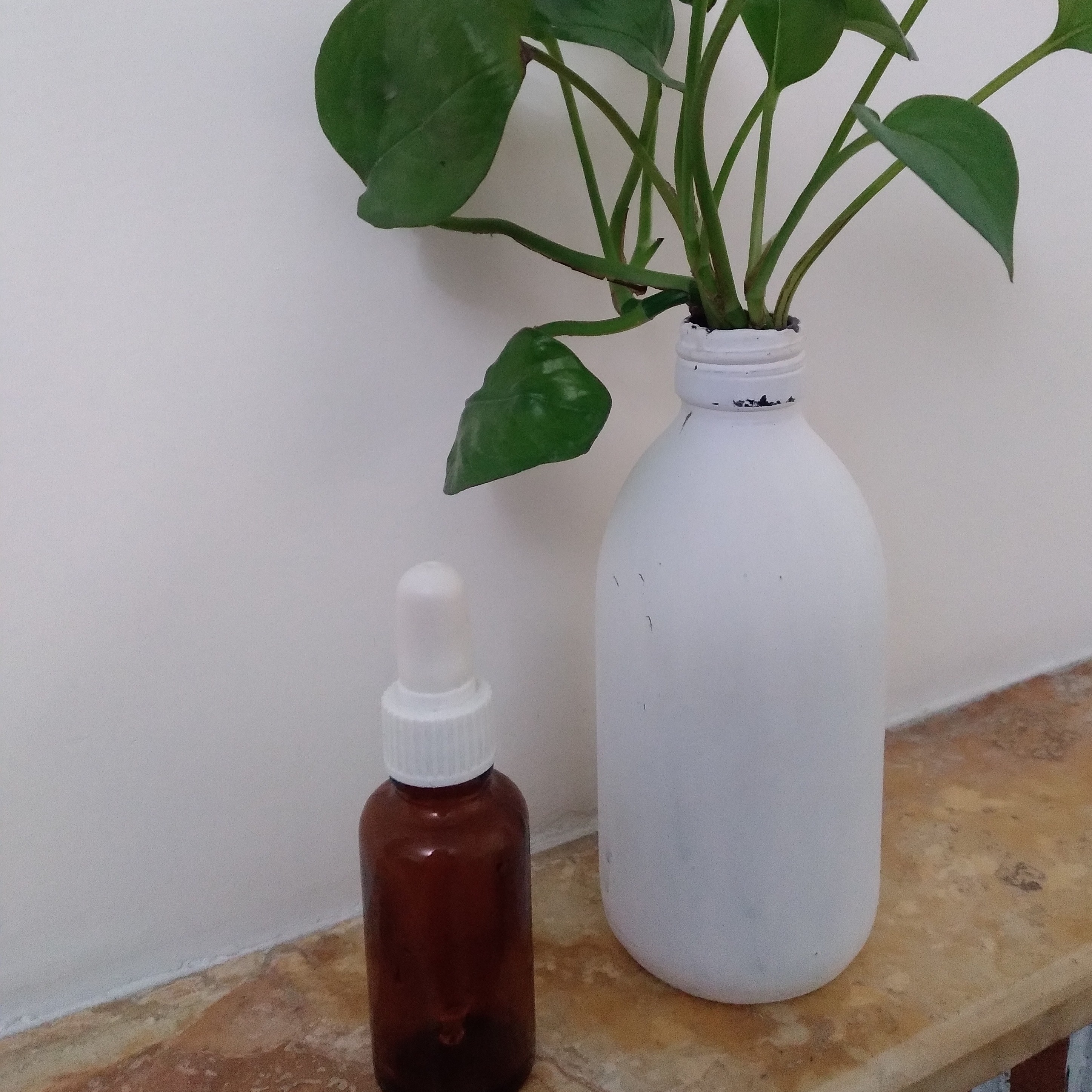 روغن سیاه دانه درجه یک