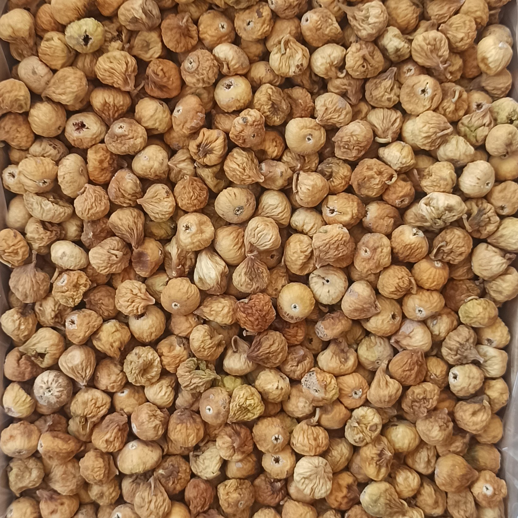 انجیر خشک سایز متوسط نرم و تازه قیمت عمده 10 کیلویی