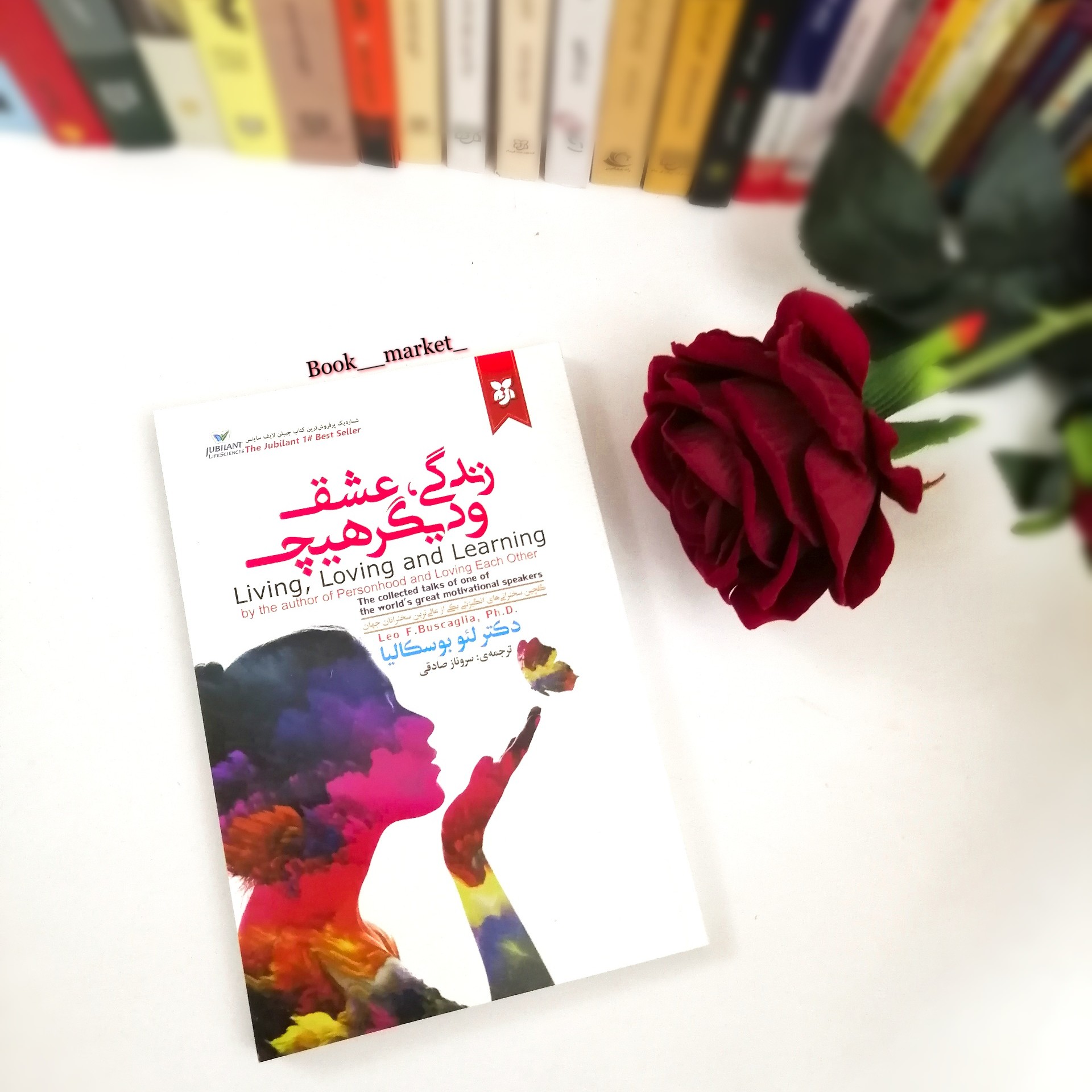 کتاب زندگی، عشق و دیگر هیچ