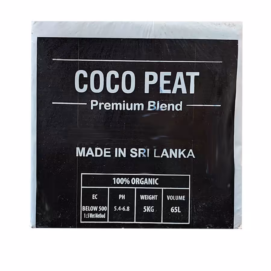 کوکوپیت سریلانکا فاین