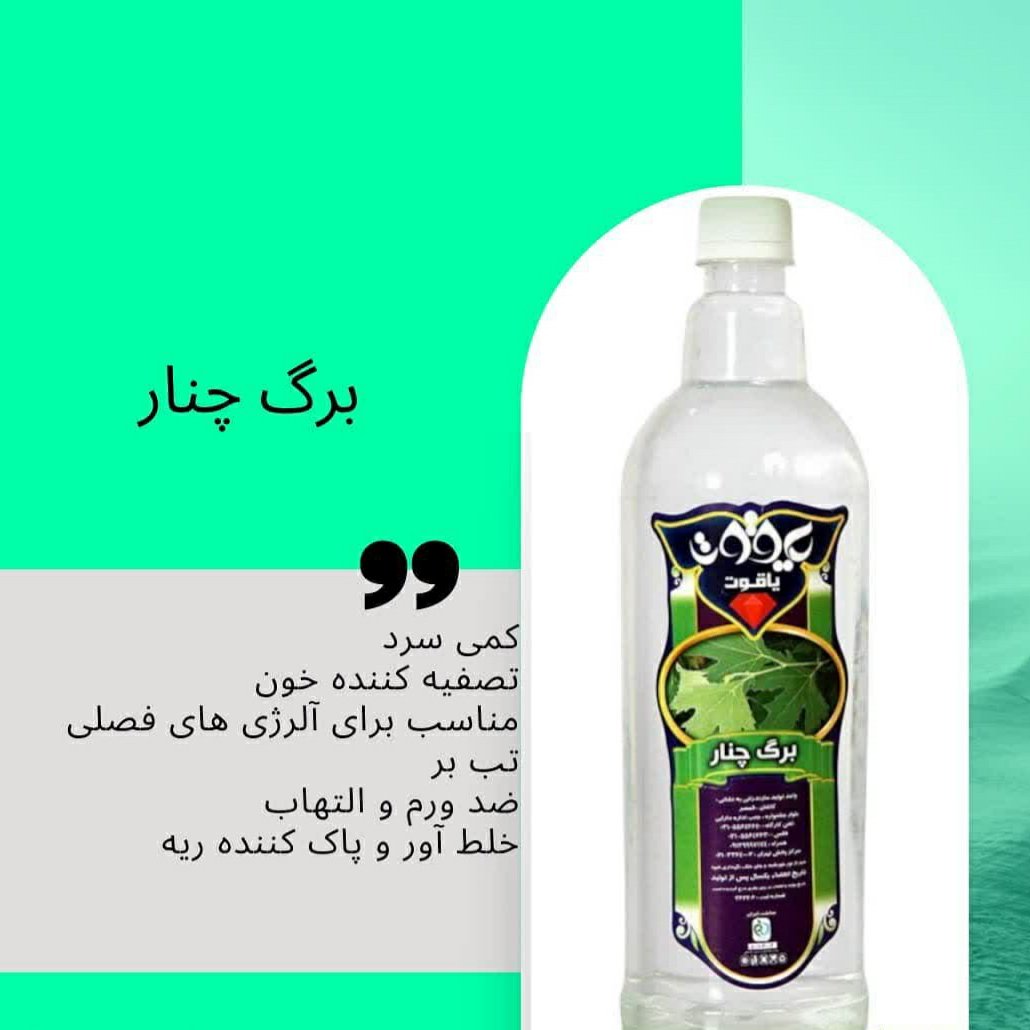 عرقیات گیاهی، برگ چنار