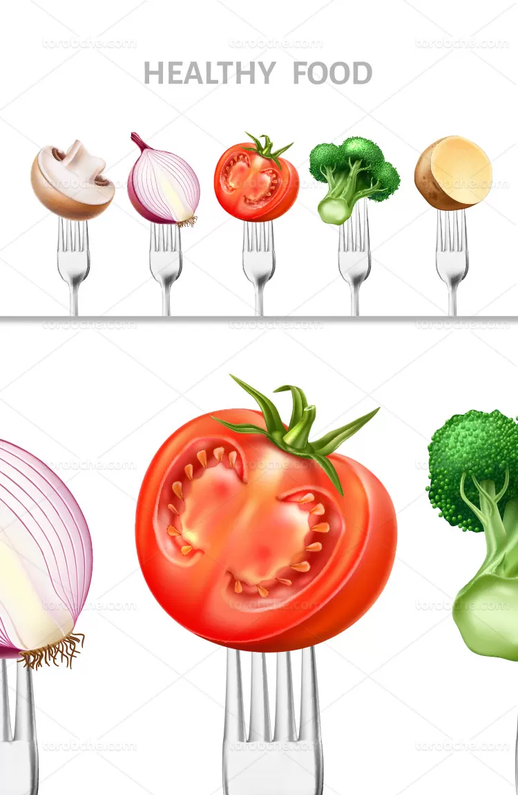 وکتور غذای سلامتی با کیفیت | گرافیک با طعم تربچه