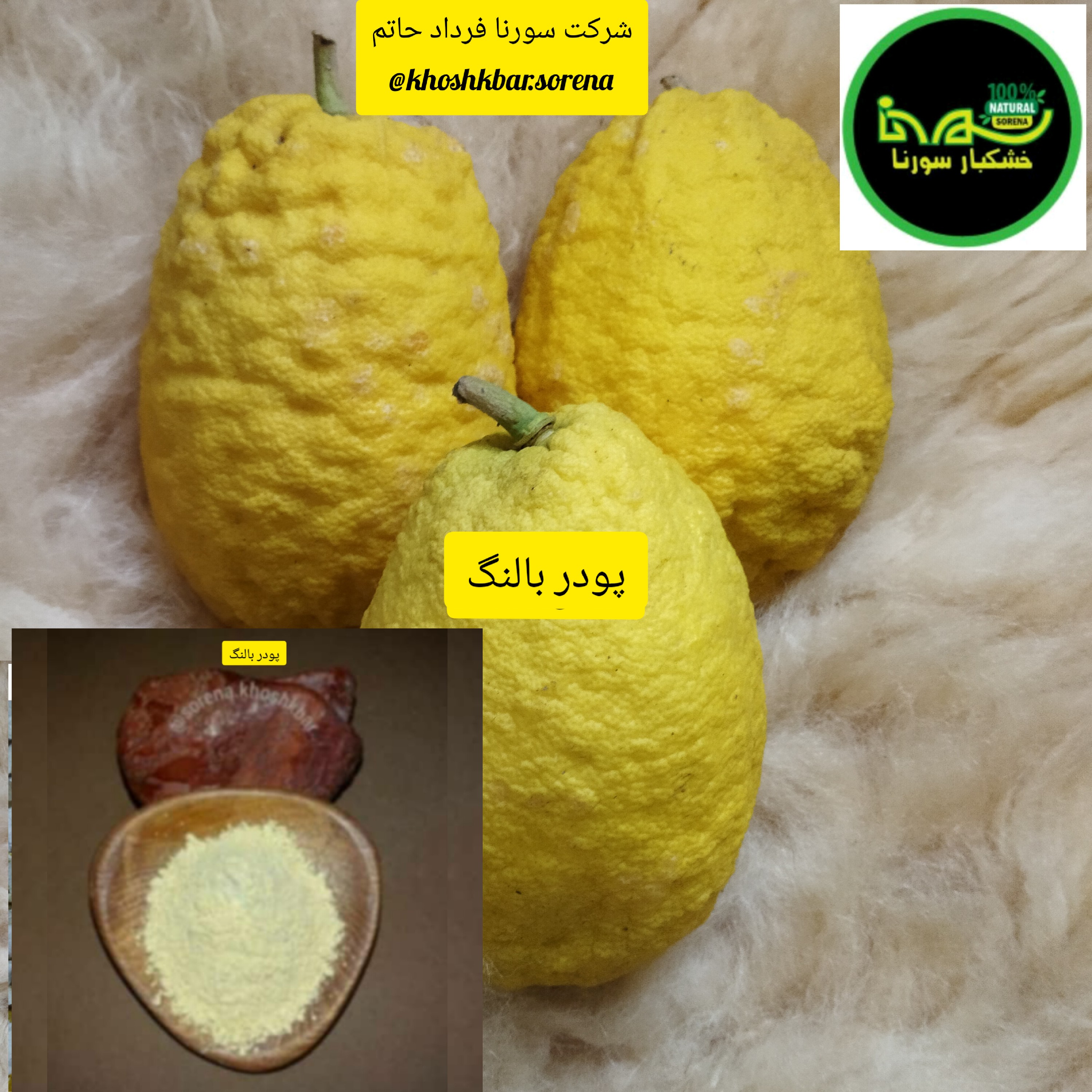 پودر بالنگ (اترج یا ترنج) محلی درجه یک(مازندران قائمشهر) در بسته بندی 125گرمی
