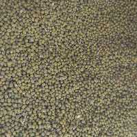 ماش محلی منطقه آبخیز کلات 1000گرمی