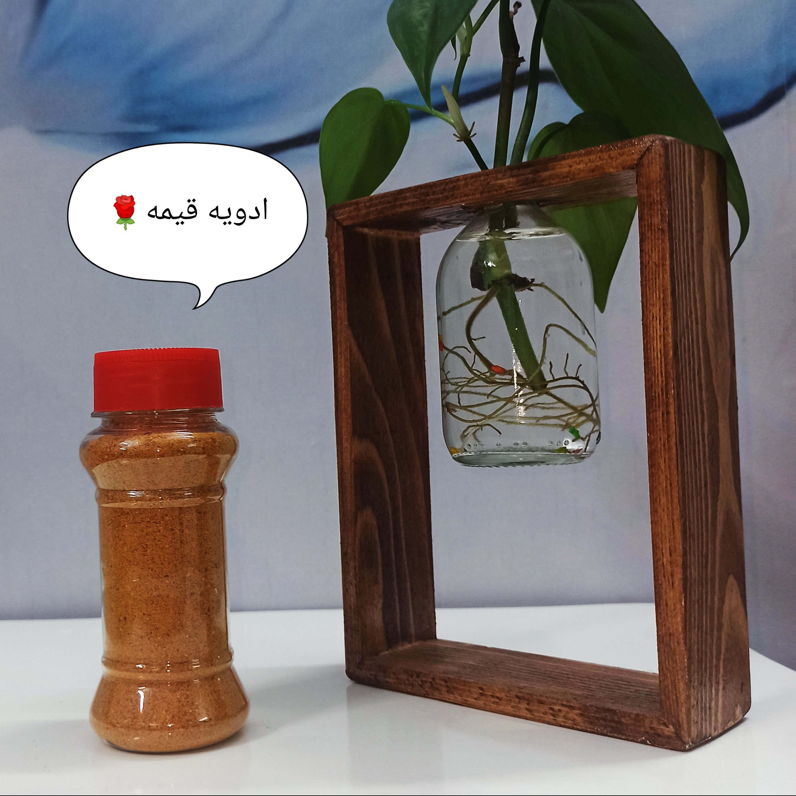 ادویه قیمه مجلسی 100گرمی 