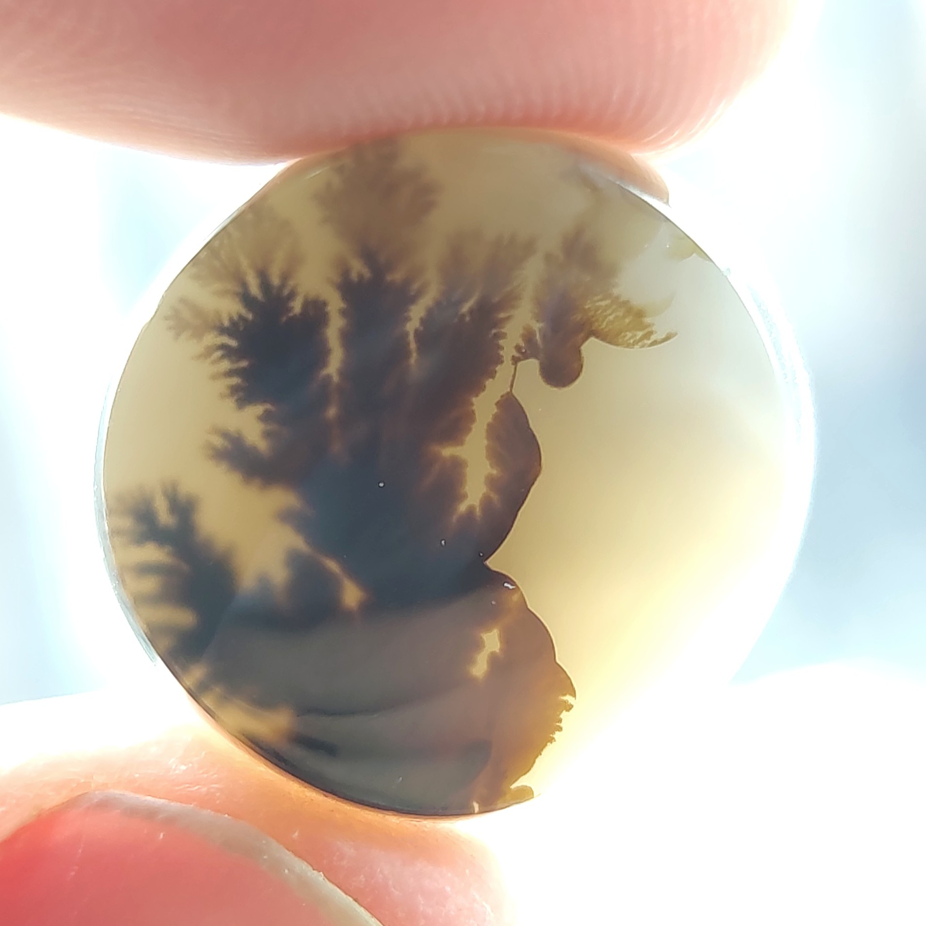 نگین عقیق شجر قائن تک درخت واضح مناسب انگشتر و گردن بند 