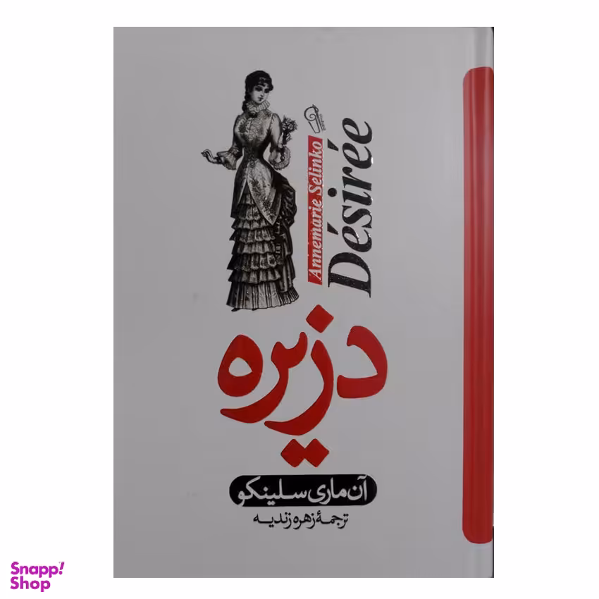 کتاب دزیره اثر آن ماری سیلینکو انتشارات آزرمیدخت
